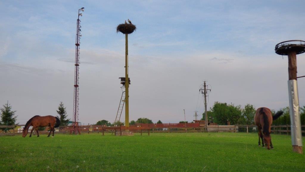 Agroturystyka Klekusiowo Boleslawiec  Exterior foto
